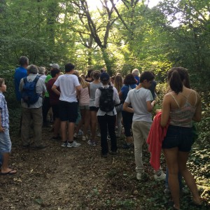 Visite du bois d'urdains