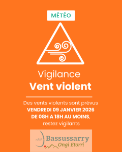 Post Instagram vigilance vent violent dégradé vert