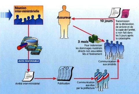 Schema-de-procedure-de-reconnaissance-de-l-etat-de-catastrophe-naturelle-2