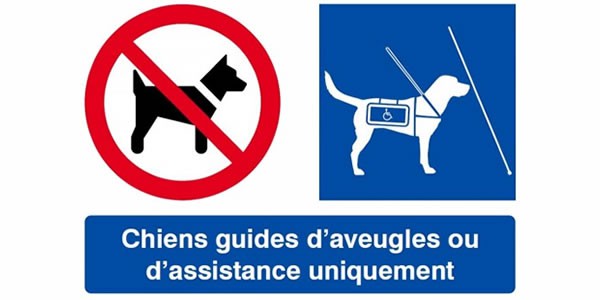 chien-aveugle-bassussarry