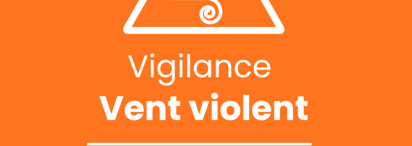 Post Instagram vigilance vent violent dégradé vert