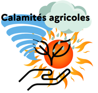 calamite agricole