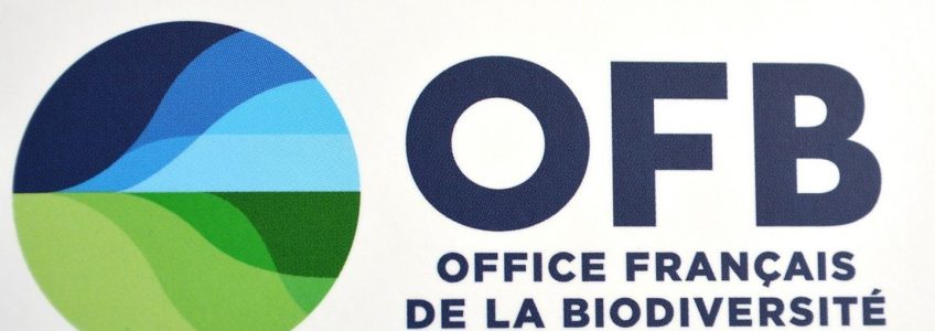 image_1428332_20250202_ob_0f3ca3_ofb-logo